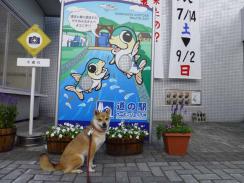 P1030509+AZUKI.jpg
