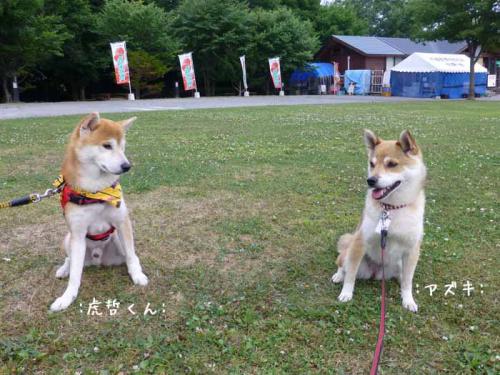 P1030549+AZUKI.jpg