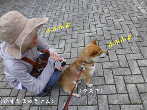 P1030589+AZUKI.jpg