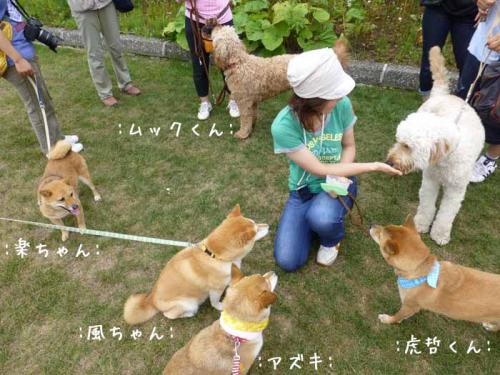 P1030830+AZUKI.jpg