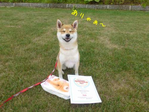 P1030859+AZUKI.jpg