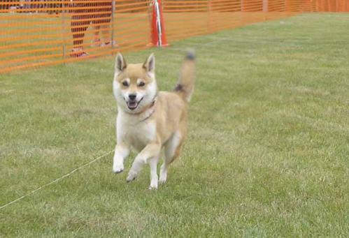 P1030928+AZUKI.jpg