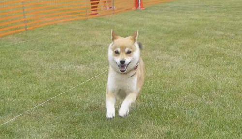P1030929+AZUKI.jpg