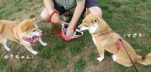 P1040393+AZUKI.jpg