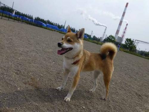 P1040705+AZUKI.jpg