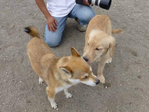 P1040719+AZUKI.jpg