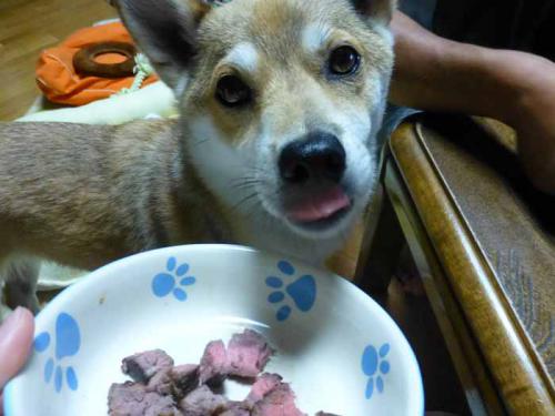 P1050005+AZUKI.jpg