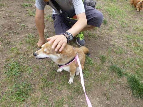 P1050074+AZUKI.jpg
