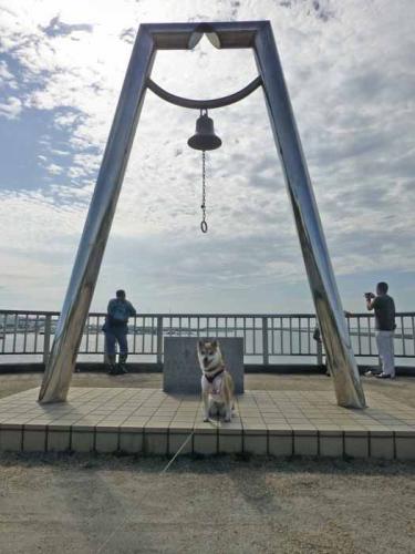 P1050154+AZUKI.jpg