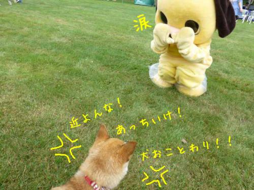 P1050411+AZUKI.jpg