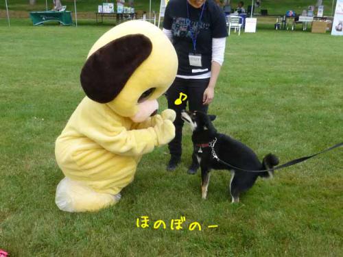 P1050416+AZUKI.jpg