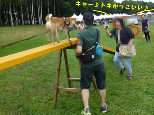 P1050440+AZUKI.jpg