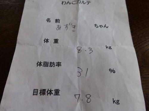 P1050747+AZUKI.jpg