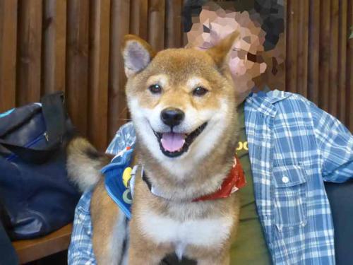P1050877+AZUKI.jpg