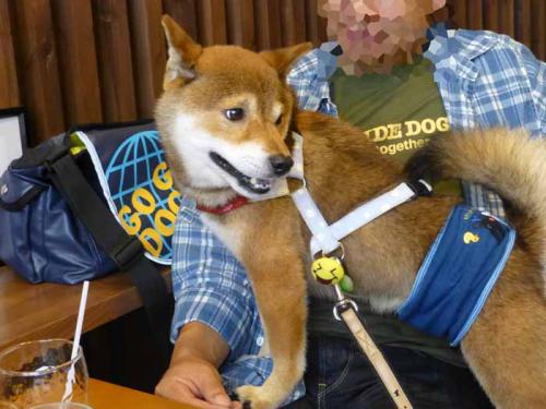 P1050906+AZUKI.jpg