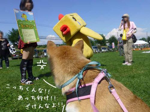 P1060441+AZUKI.jpg