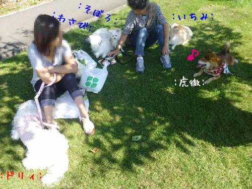 P1060482+AZUKI.jpg