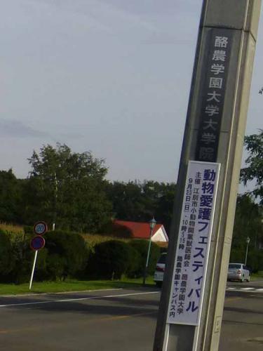 P1060498+AZUKI.jpg