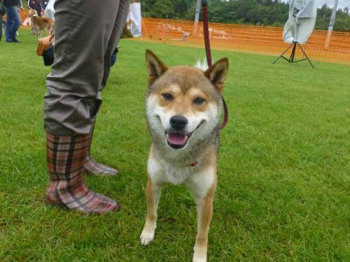 P1060734+AZUKI.jpg