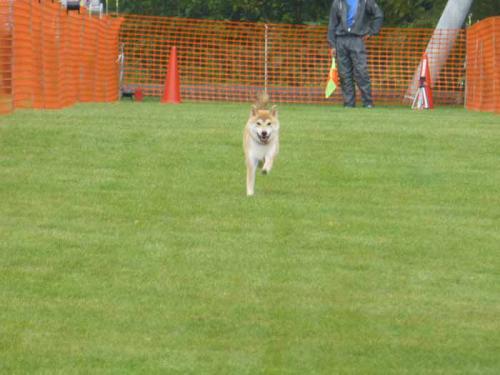 P1060915+AZUKI.jpg