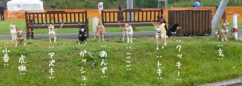 P1060978+AZUKI.jpg