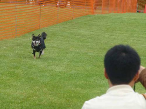 P1070024+AZUKI.jpg