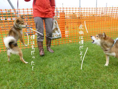 P1070118+AZUKI.jpg