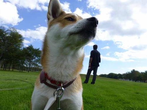 P1070680+AZUKI.jpg