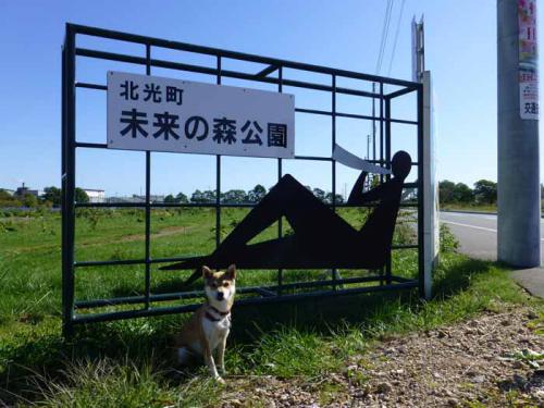 P1070733+AZUKI.jpg