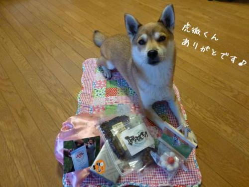 P1080292+AZUKI.jpg