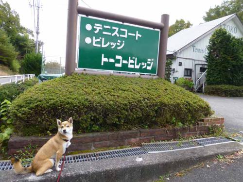 P1080589+AZUKI.jpg