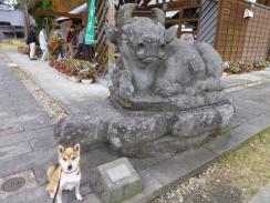 P1080625+AZUKI.jpg