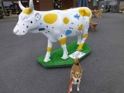P1080630+AZUKI.jpg