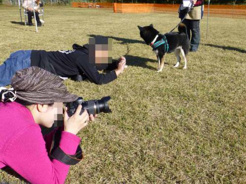P1080847+AZUKI.jpg