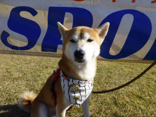 P1080873+AZUKI.jpg
