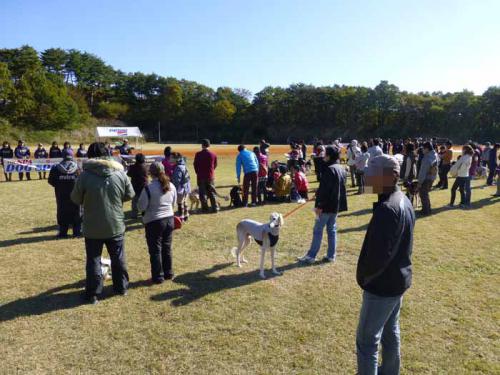P1080886+AZUKI.jpg