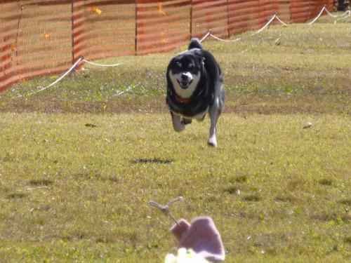 P1080928+AZUKI.jpg