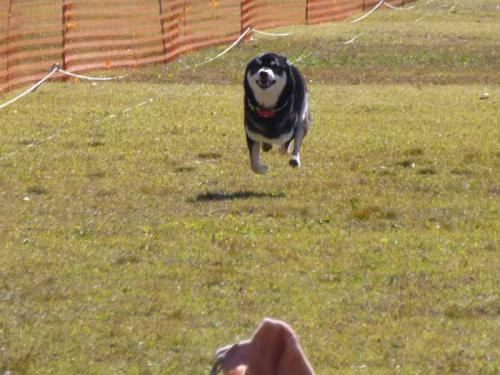 P1080931+AZUKI.jpg
