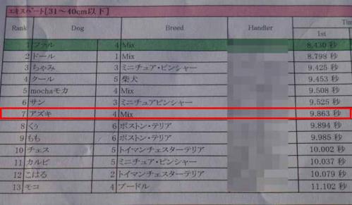 P1090106+AZUKI.jpg