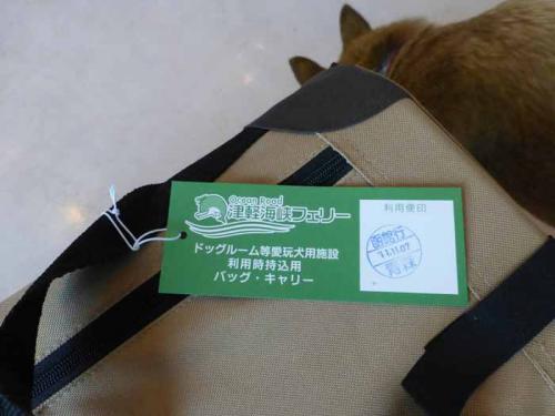 P1090612+AZUKI.jpg