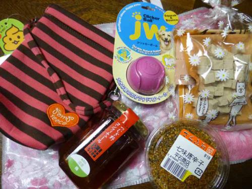 P1090643+AZUKI.jpg