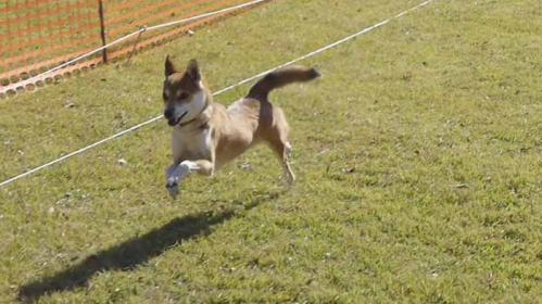 P1090658+AZUKI.jpg