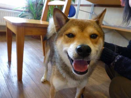 P1090869+AZUKI.jpg