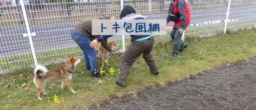P1090948+AZUKI.jpg