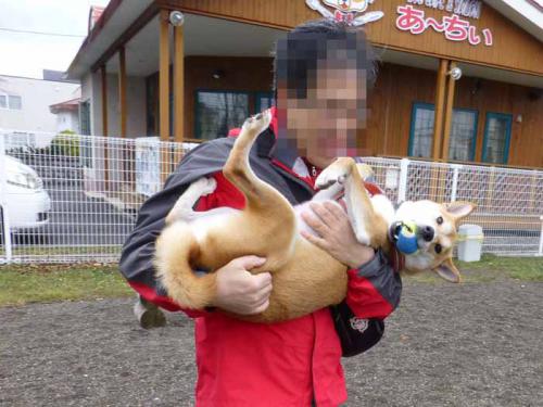 P1090950+AZUKI.jpg