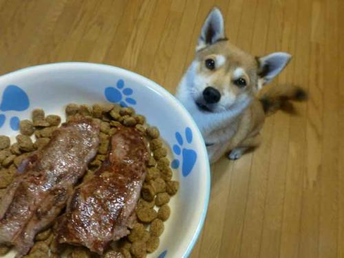 P1100860+AZUKI.jpg