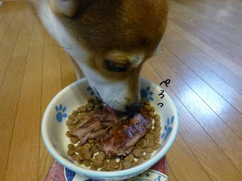 P1100870+AZUKI.jpg