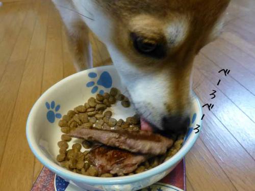 P1100874+AZUKI.jpg