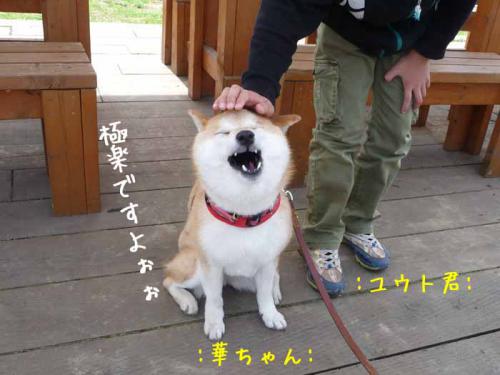 P1360824-AZUKI.jpg