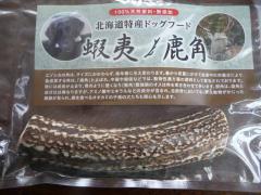 P1370110-AZUKI.jpg